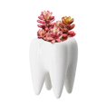 thumbnail image 3 of Dalazy Vase en Céramique Porte-Plume Décoratif Vase à Fleurs Pot Succulent Jardinière Florale, 3 of 9
