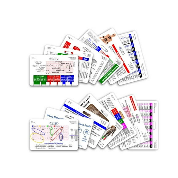 Scrubs and Stuff LLC Complete EMS Horizontal Badge Card Set - 13 Cards