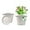 White, variant on DEA Plastic Flower Pots Planters for Indoor Plants,4 Pack 16 Inch White Plant Pots with Drainage Hole&Tray,Modern Decorative Large Plant Pot with Saucer for Indoor Outdoor Plants Garden House Planter