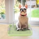 thumbnail image 3 of LADIGASU Inodoro Casero a Prueba de Fugas para Orina de Perro Liquidación Ventas Hoy Ofertas Prime 1X Orinal para Perros, 3 of 6