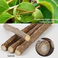 thumbnail image 2 of 30 Matatabi Natural Catnip Sticks for Dental Treats, 2 of 4