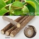 thumbnail image 2 of 30 Matatabi Natural Catnip Sticks for Dental Treats, 2 of 4