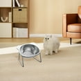 thumbnail image 3 of Nebwoak Stainless Steel Elevated Pet Bowl for Dogs & Cats - Non-Slip Food Water Bowl with Wide Rim, Rust-Resistant, Food-Grade, Elevated Feeder for Posture Support, 3 of 5