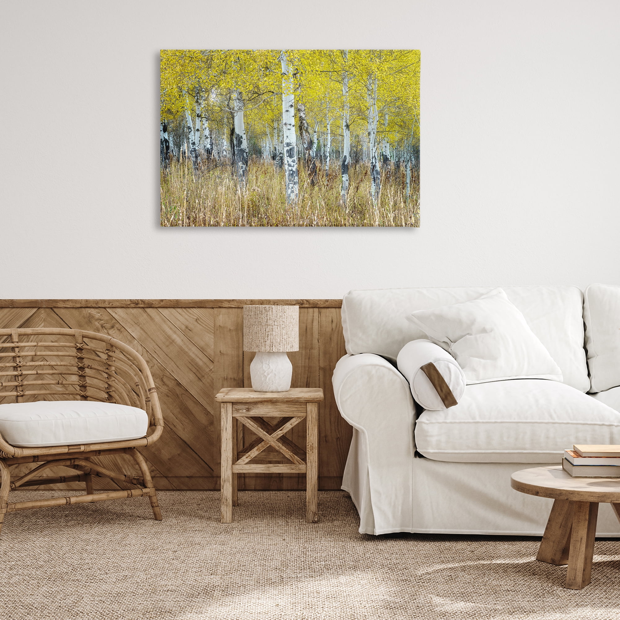 Stupell Industries Dense Birch Trees Landscape & Nature Photography Wrapped Canvas Art Print Wall Art, 36 x 24