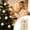 Beige, variant on 6-Pack 8 cm (3.15 in) Coffee Brown Painted Flocked Christmas Ball Ornaments, Boxed Velvet-Look Hanging Baubles with Decorative Holiday Patterns, Christmas Tree, Wreath, Garland and Holiday Home Decor