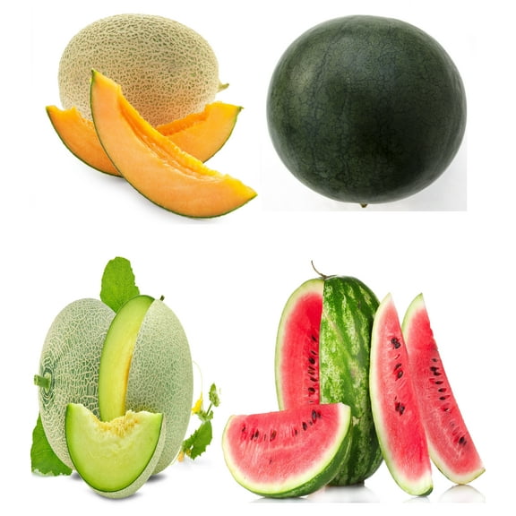 Sunutri Melon Seeds Variety Pack, Non-GMO Watermelon (Crimson Sweet, Sugar Baby), Honeydew, Cantaloupe, High Germination