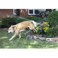 thumbnail image 2 of Melnor Motion-Activated Animal Repeller, 2 of 3