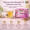 thumbnail image 5 of Therbal Valerian Root Herbal Tea Bags, 25 Count, Caffeine Free Sleep Support Tea, Valeriana Officinalis Infusion, Natural Herbal Tea, 5 of 5