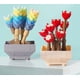 thumbnail image 4 of Decoración de pared NQ Ensamblaje de pequeñas partículas de plantas suculentas en maceta summer jelly 03, 4 of 4