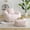 Pink + faux fur + Foam, variant on Big Bean Bag Chair with Footstool, Oversized Bean Bag, Faux Fur Shell-Shaped Large Chair with Filler, Stuffed Big Accent Sofa, Floor Sofa for Gaming Room, Reading Room, Living Room, Home Theater