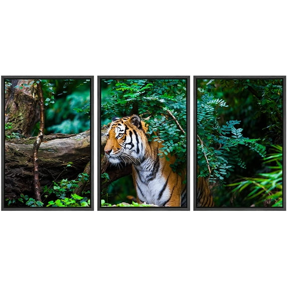 wall26 - 3 Piece Framed Canvas Wall Art - Tiger - Modern Home Art Stretched and Framed Ready to Hang - 16"x24"x3 BLACK