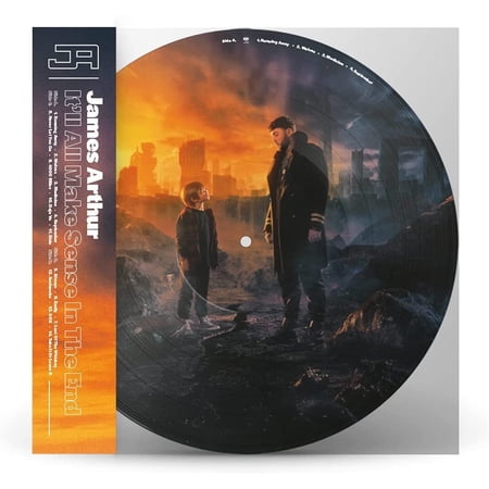 It ll All Make Sense in the End (LP)