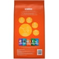 thumbnail image 6 of Iams Proactive Health Adult Hairball Care Dry Cat Food - Chicken & Salmon - 7 lbs — Residential Use, Standard Application, 6 of 12