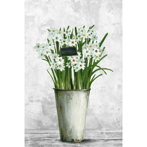 Marmont Hill Beautiful Daffodils Canvas Wall Art, 24" x 16"