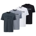 thumbnail image 1 of s.Oliver Camiseta para hombre, pack de 4 - básica, estampado logo, cuello redondo, algodón Blanco/gris claro/gris oscuro/negro 3XL (XXX-Large), 1 of 5