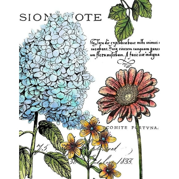Posterazzi Collection Carte Postale Botanique Couleur I Poster Print par Marie Elaine Cusson (11 x 14)