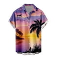 thumbnail image 1 of Camisas Para Hombre Slim Fit Camisa hawaiana de manga corta para hombre, camisa con estampado 3D de solapa de primavera y verano, camiseta de moda (Purple, M), 1 of 3