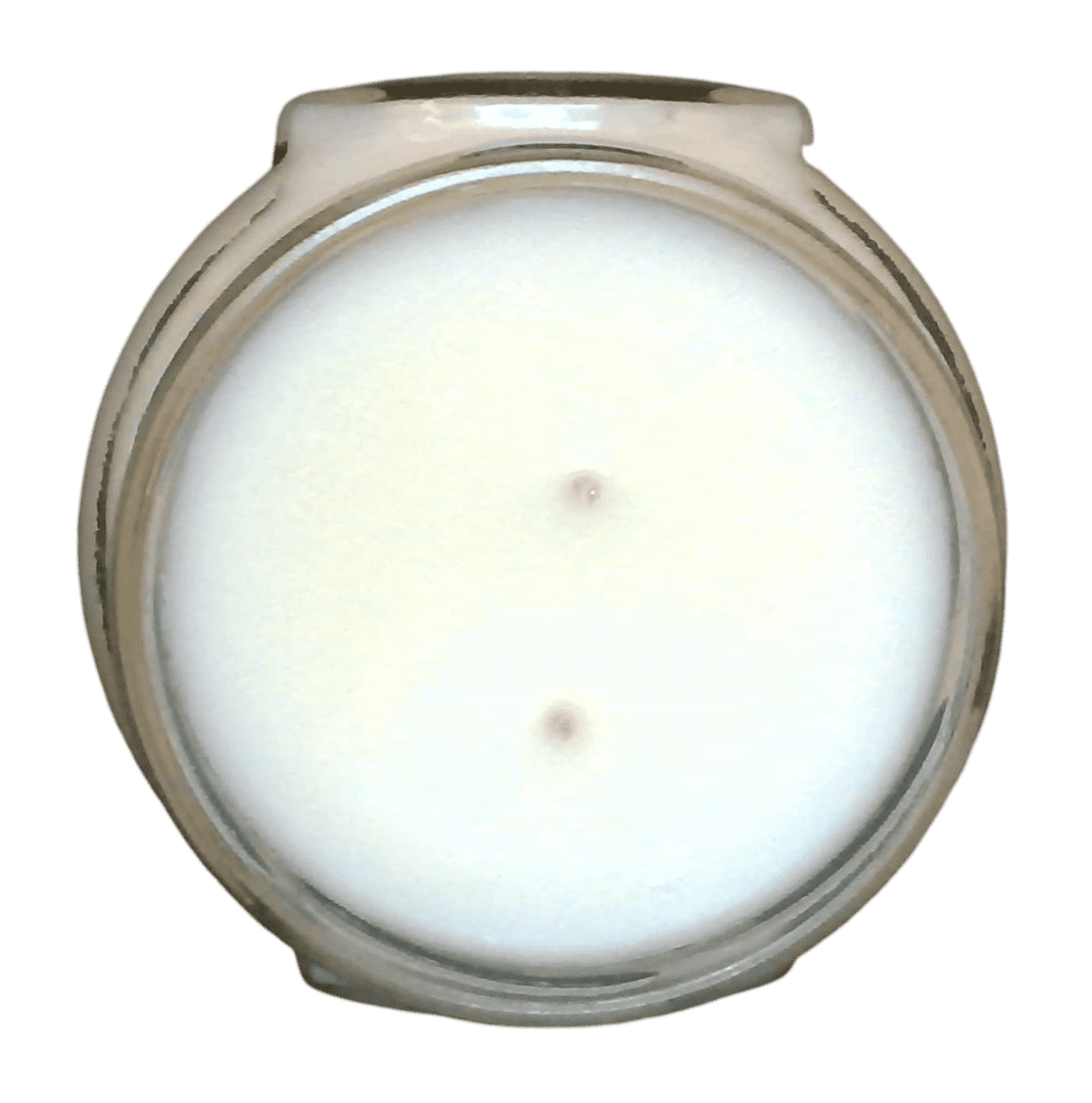 Tyler Candle Company - Dolce Vita - 11oz jar candle - with Tyler matches