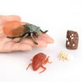 thumbnail image 1 of Conjunto de modelos de de de animales Juguete de salmón Colección de juguetes educativos para niños - Cigarra, 1 of 8