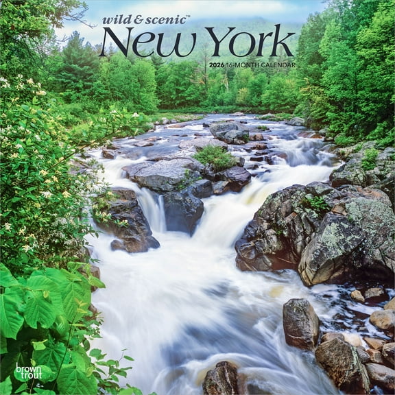 New York Wild & Scenic | 2026 12x24" (Hanging) Wall Calendar | Plastic-Free