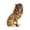 Brown, variant on yotijay Small Lion Statue Home Decor Crafts Decoration for Office Bedroom NightStand Brown