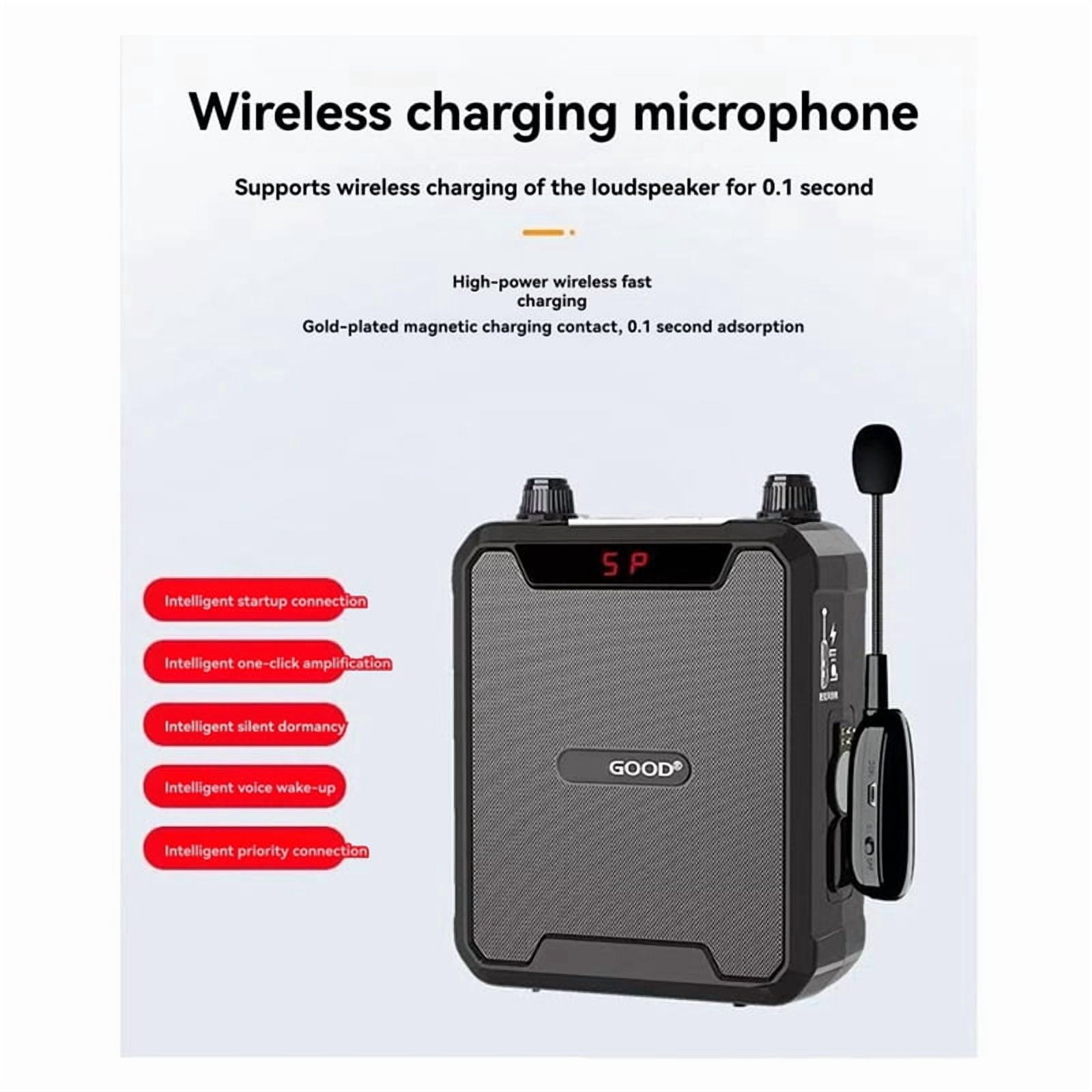 30W Portable IPX6 Waterproof Voice Amplifier with Wireless Microphone Bluetooth Speaker for Teachers Tour Guide