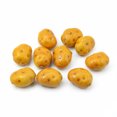 thumbnail image 3 of 20PCS Artificial Potato Mini Foam Realistic Fake Vegetable Artificial Vegetable, 3 of 6