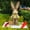 A001- Style A, variant on 35Cm Rustic Handcrafted Straw Easter Bunny Statue, Woven Accents with Carry Basket & Carrot detail, Easter Bunny decorations for indoor Mantels, Outdoor Lawn Displays, Easter