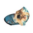 thumbnail image 2 of KLL Cute Swimming Guinea Pig for Basic Dog Hoodie - Pet Hoodie Sweater with Leash Hole - Cute Dog Sweatshirt - Pet Clothes Hooded Sweatshirt for Dog & Cat -Medium, 2 of 8
