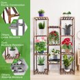 thumbnail image 3 of LotFancy Plant Stand Indoor Outdoor, Tall Plant Shelf, 10 Tiers 11 Potted Large Wood Plant Rack, 3 of 7