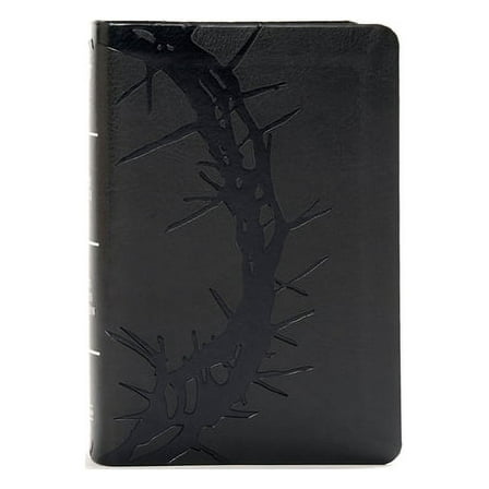 KJV Large Print Compact Reference Bible, Charcoal LeatherTouch