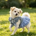 thumbnail image 6 of Pet Puff Sleeve Bowknot Plaid Skirt, Summer Puppy Cowboy Princess Dresses Skirts, Small Medium Dog, XS, 6 of 6