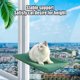 thumbnail image 3 of Hamaca Desmontable para Ahorrar Espacio en la Percha de la Ventana del Gato para que las Mascotas Descansen ANGGREK Otros, 3 of 8