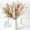 🔥 Multicolor_Base#134, variant on Dried Pampas Grass Decor 100 Stems Multicolor Faux Pampas Grass with Bunny Tails Silk Plume 17 Inch Boho Wedding Home Party Table Decoration