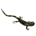 thumbnail image 2 of Juguetes de Insectos de arcilla simulados al azar Sunnimix modelo lagarto, 2 of 8