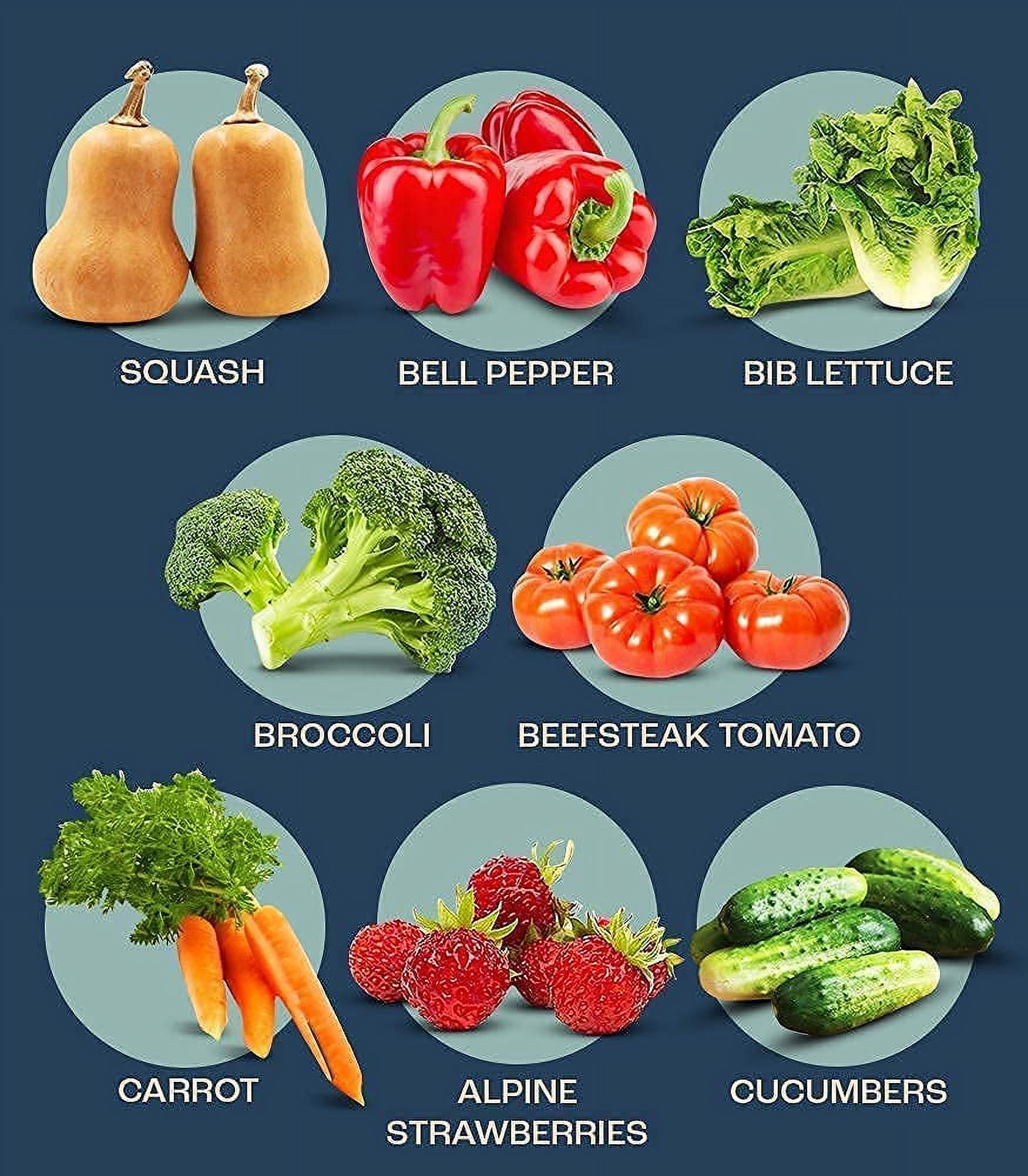Vegetable Seeds Planting - Heirloom Non GMO Veggie Garden Plant Seeds - Great for Planting Indoor or Outdoors | Veggie Seeds Packet for Home Garden- 8 seeds to plant!