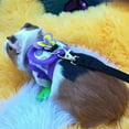 thumbnail image 4 of Hand Made Harness Vest and Leash Set for Hamster Rats Iguana Bearded Dragon Baby FerretSoft&Adjustable, 4 of 8