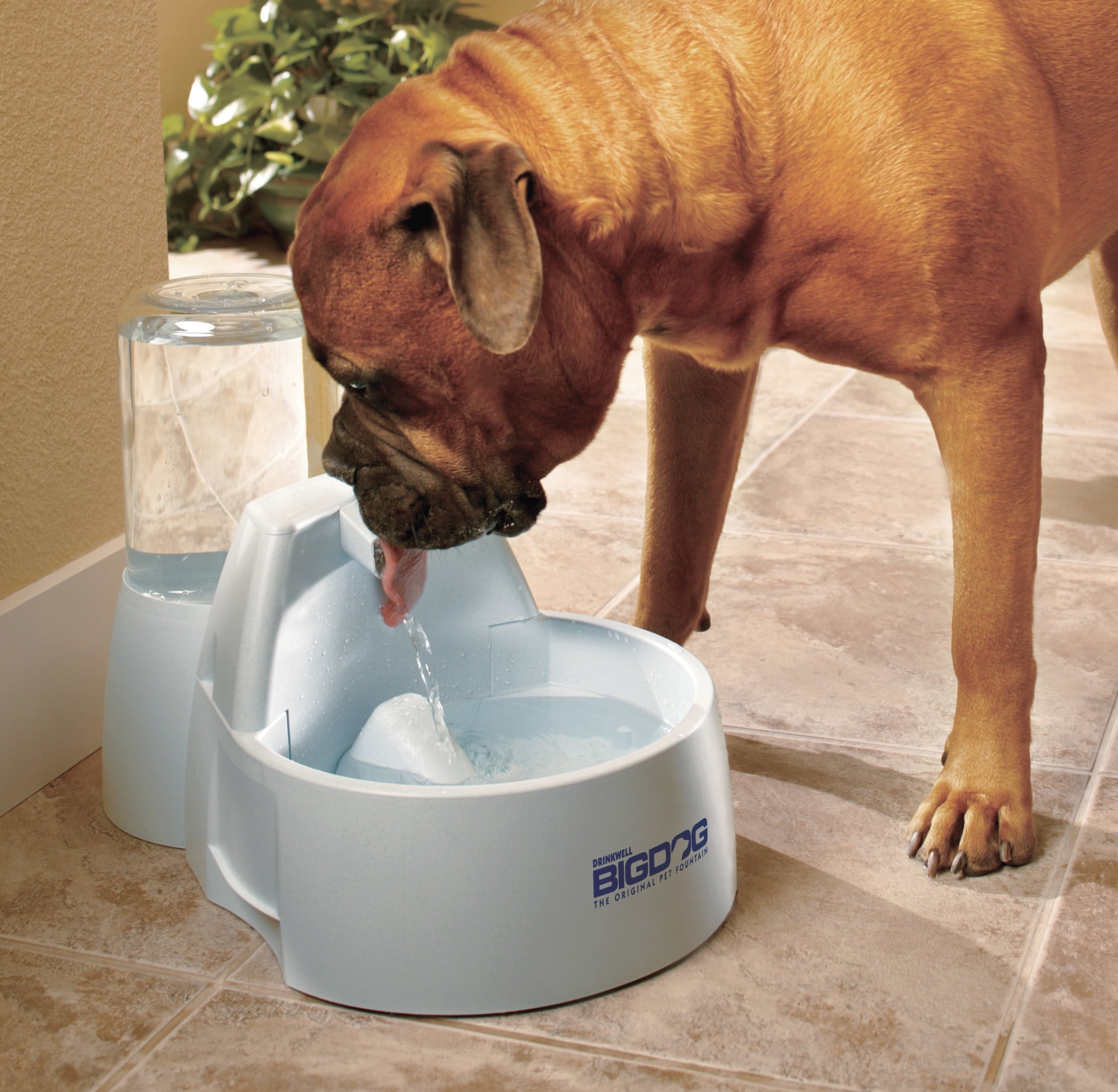 Big dog water fountain cheap pump