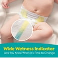 thumbnail image 4 of Pampers Swaddlers Wetness Indicator Hypoallergenic Soft Latex and Paraben Free Soft Diapers - Size 1, 164 Count, 4 of 8