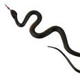 thumbnail image 3 of Juguete de simulación de Serpiente de goma Yashi color negro, 3 of 5