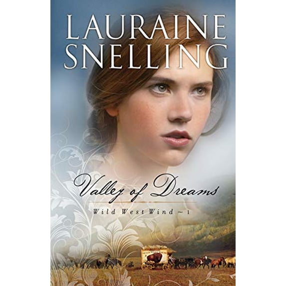 Pre-Owned Valley of Dreams (Paperback) 0764204157 9780764204159