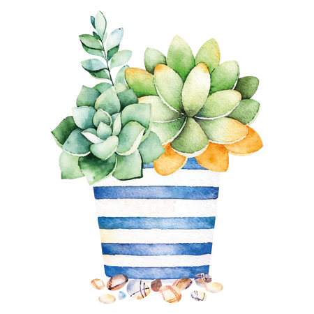 Cactus on a Pot Drawing Design for Living Room Vinyl Wall Decal - Plant Painting Art for Relaxing Bedroom Wall Decoration - 20" x 28"