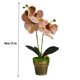 thumbnail image 2 of Flor de orquídea en maceta artificial Simulación de tela de decoración floral Orquídea falsa con maceta, Champán Monstrate HA7708-02B, 2 of 6