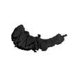 thumbnail image 3 of wet n wild Color Icon Eyeshadow Single, Panther, 3 of 3