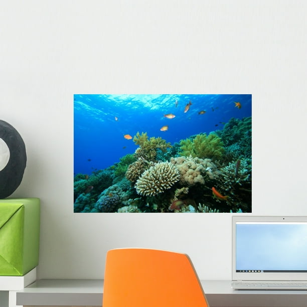 Coral Reef Wall Mural by Wallmonkeys Peel and Stick Graphic (18 in W x ...