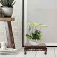 thumbnail image 2 of STRANDCHIC Wooden Coffee Planter Rack for Household Use, Stylish Indoor Flower Pot Holder and Decorative Plant Stand, 2 of 6