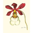 thumbnail image 2 of Goldberger, Jennifer 12x14 White Modern Wood Framed Museum Art Print Titled - Majestic Orchid II, 2 of 4