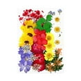 thumbnail image 1 of Dried Flowers Set Scrapbooking Decorating Real Flower Decal for Makeup Fillings Handicraft Filling Pressed Specimen Label for Makeup Phone Use Type 10, 1 of 6