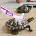 thumbnail image 3 of 2Pcs Circular Brush Head Turtle Shell Cleaning Tool for Pet Care, 3 of 9