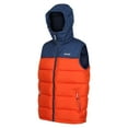 thumbnail image 3 of Regatta - Veste sans manches NEVADO - Homme, 3 of 5
